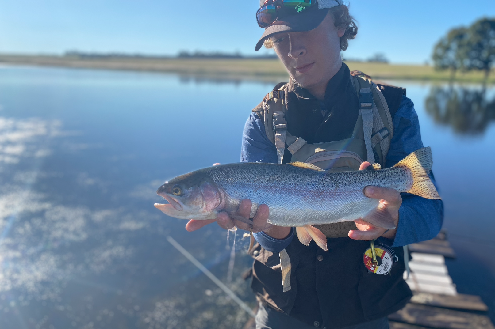 Fish